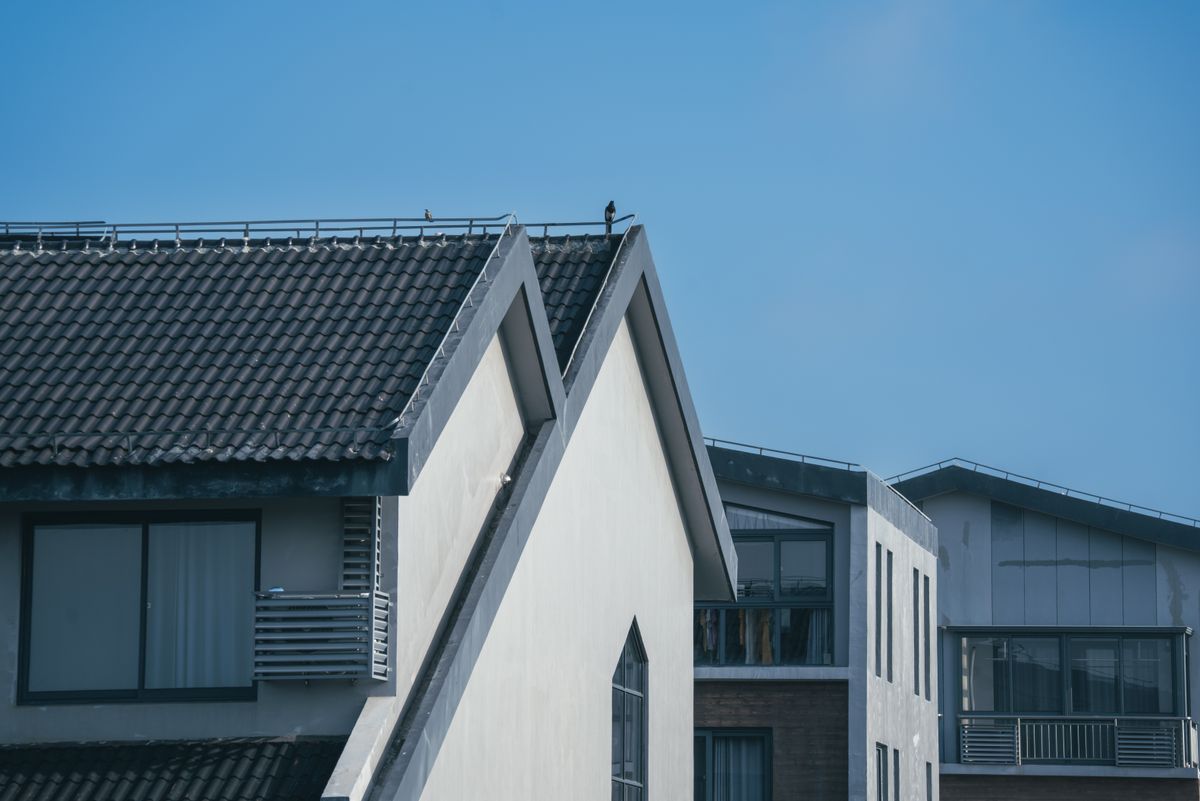 Compare practical factors including climate, maintenance, weight and appearance.